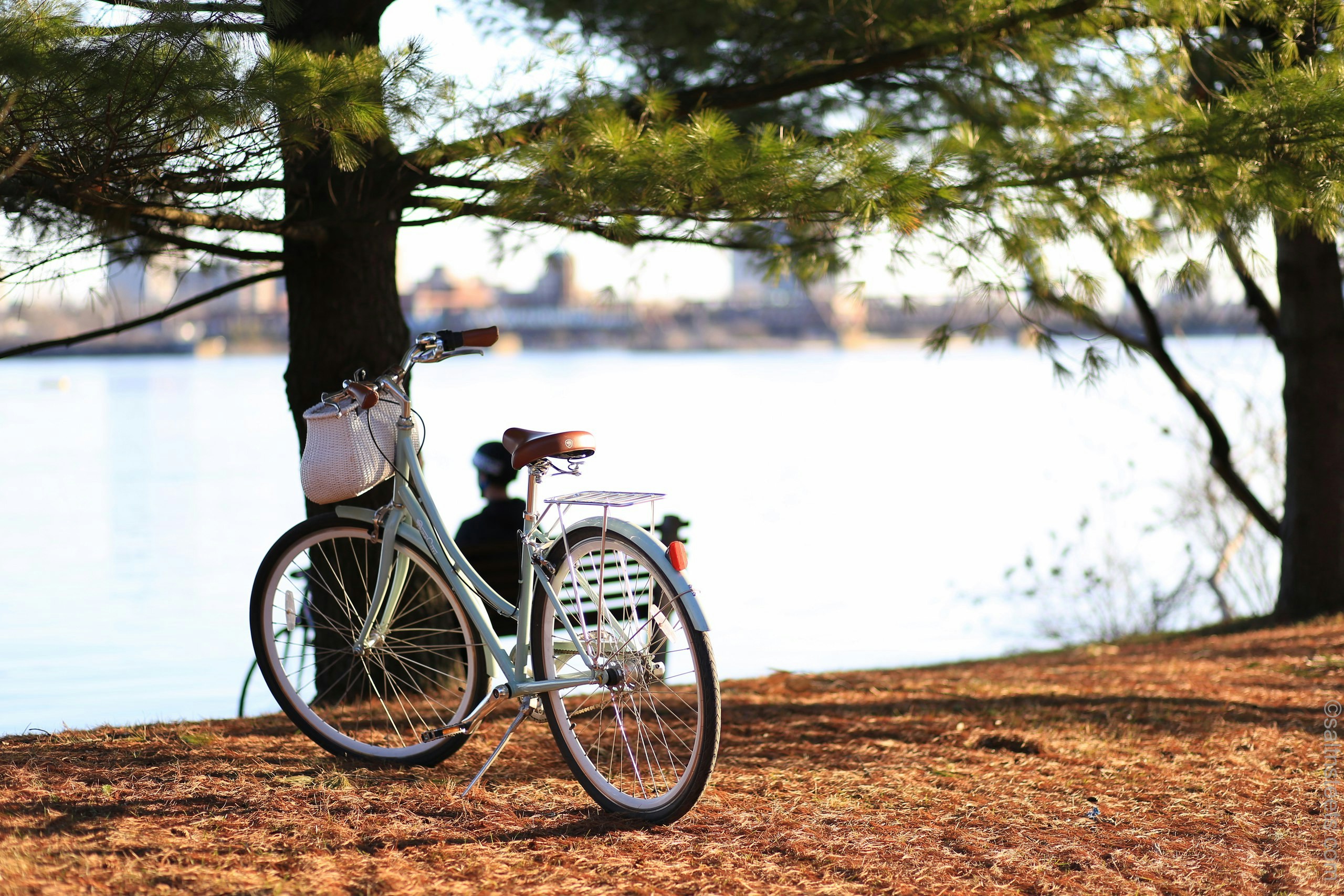 Bicycle Accident Attorneys in Santee