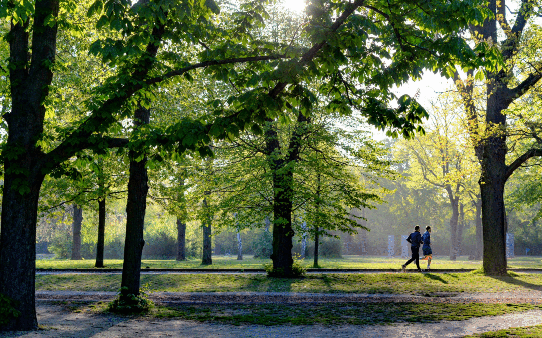 Father and Daughter Involved in Otay Valley Park E-Bike Crash
