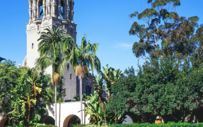 USD Student Dead After Being Hit by Police Vehicle